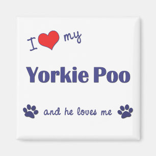 I Liebe mein Yorkie Poo (männlicher Hund) Magnet