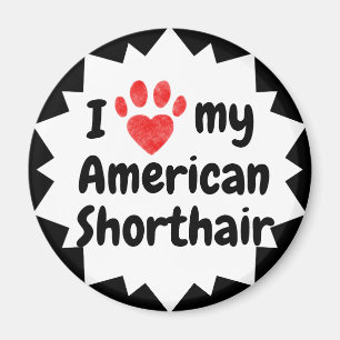 I Liebe meine amerikanische Shorthair Katze Magnet