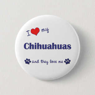 I Liebe meine Chihuahuas (mehrfache Hunde) Button