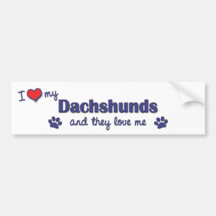 I Liebe meine Dackeln (mehrfache Hunde) Autoaufkleber