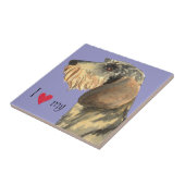 I Liebe meine Drahthaar-Dackel Fliese (Seite)