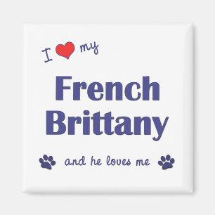 I Liebe meine französische Bretagne (männlicher Magnet