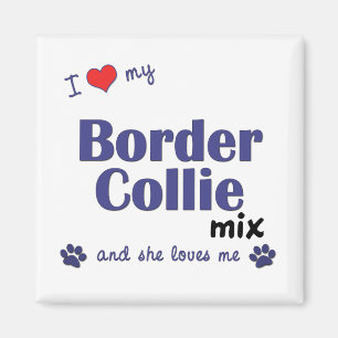 I Liebe meine Grenzcollie-Mischung (weiblicher Magnet