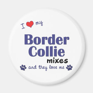 I Liebe meine Grenzcollie-Mischungen (mehrfache Magnet
