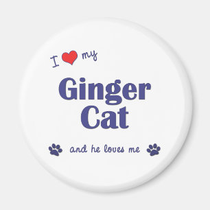I Liebe meine Ingwer-Katze (männliche Katze) Magnet