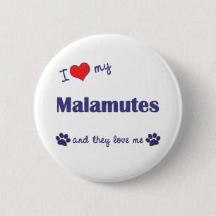 I Liebe meine Malamutes (mehrfache Hunde) Button