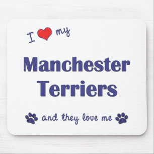 I Liebe meine Manchester-Terrier (mehrfache Hunde) Mousepad