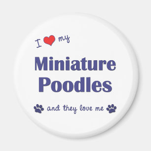 I Liebe meine Miniaturpudel (mehrfache Hunde) Magnet