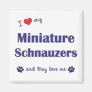 I Liebe meine MiniaturSchnauzers (mehrfache Hunde) Magnet