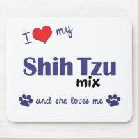 I Liebe meine Mischung Shih Tzu (weiblicher Hund)