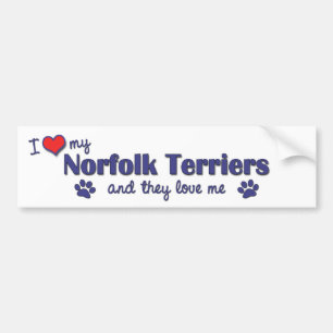 I Liebe meine Norfolk-Terrier (mehrfache Hunde) Autoaufkleber