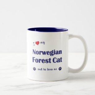 I Liebe meine norwegische Waldkatze (männliche Zweifarbige Tasse