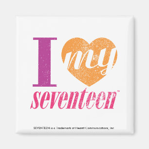 I Liebe meine Orange 17 Magnet