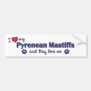 I Liebe meine Pyrenean Mastiffs (mehrfache Hunde) Autoaufkleber