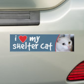 I Liebe meine Schutz-Katzen-Aufkleber-All-Weiße Autoaufkleber (Auf Auto)