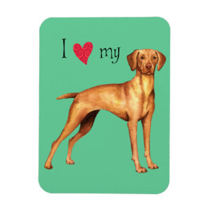 I Liebe meine Vizsla Magnet