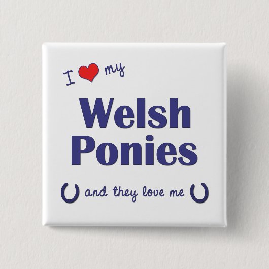 I Liebe meine Waliser-Ponys (mehrfache Ponys) Button (Vorderseite)