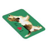 I Liebe meines PBGV Magnet (Rechte Seite)