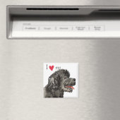 I Liebe meines PWD Magnet (In Situ (Geschirrspüler))