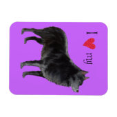 I Liebe meines Schipperke Magnet (Horizontal)