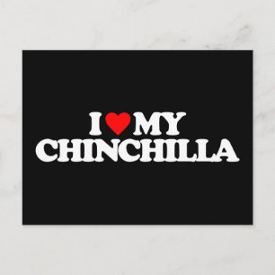 I LIEBE MEY CHINCHILLA POSTKARTE