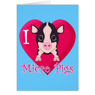 I Liebe-Mikro-Schweine