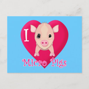 I Liebe Mikroschweine Postkarte