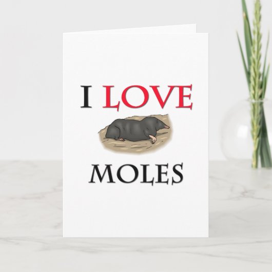 I Liebe Moles Karte (Vorderseite)