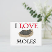 I Liebe Moles Postkarte (Stehend Vorderseite)