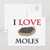 I Liebe Moles Postkarte (Vorne/Hinten)