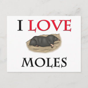 I Liebe Moles Postkarte
