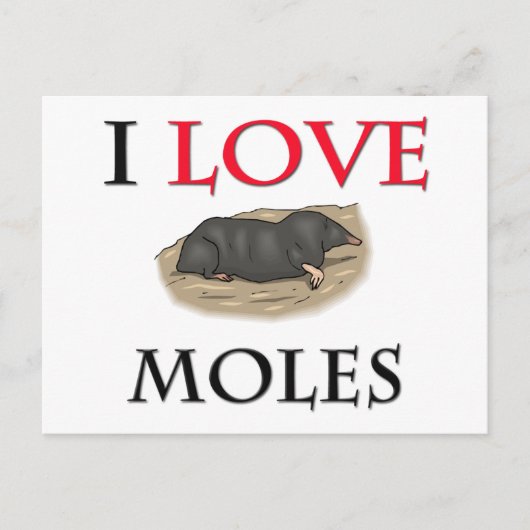 I Liebe Moles Postkarte (Vorderseite)