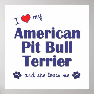 I Liebe My American Pit Bull Terrier (Weiblicher H Poster