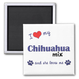 I Liebe My Chihuahua Mix (Weiblicher Hund) Magnet