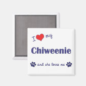 I Liebe My Chiweenie (Weiblicher Hund) Magnet (Vorderseite/Rückseite)