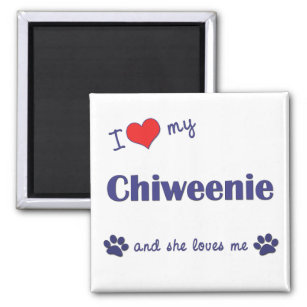 I Liebe My Chiweenie (Weiblicher Hund) Magnet