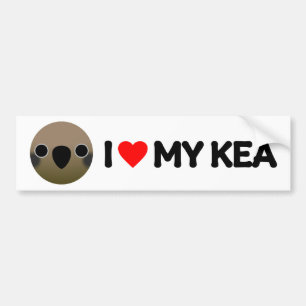 I LIEBE MY KEA AUTOAUFKLEBER