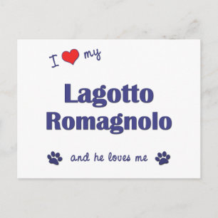 I Liebe My Lagotto Romagnolo (Männlicher Hund) Postkarte