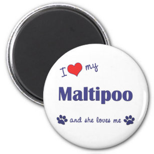 I Liebe My Maltipoo (Weiblicher Hund) Magnet