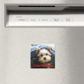 I Liebe My Yorkie Magnet (In Situ (Geschirrspüler))
