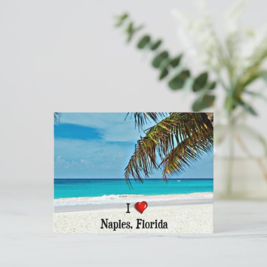 I Liebe Neapel, Florida Postkarte (Stehend Vorderseite)