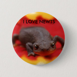 I Liebe Newts Button