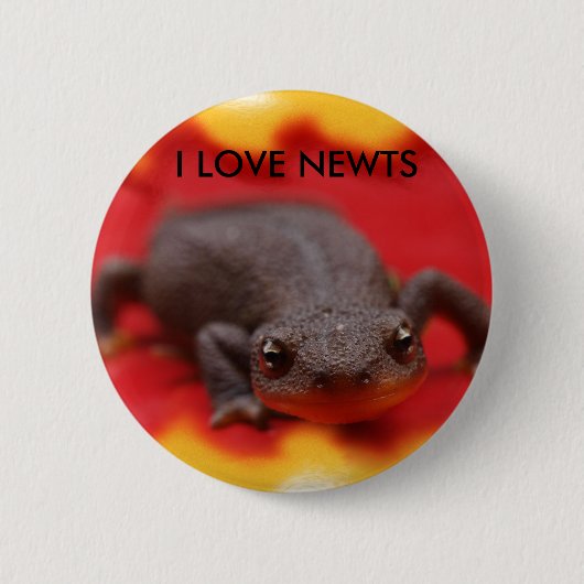 I Liebe Newts Button (Vorderseite)