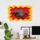 I Liebe Newts Fine Art Prints Poster (Heimbüro)