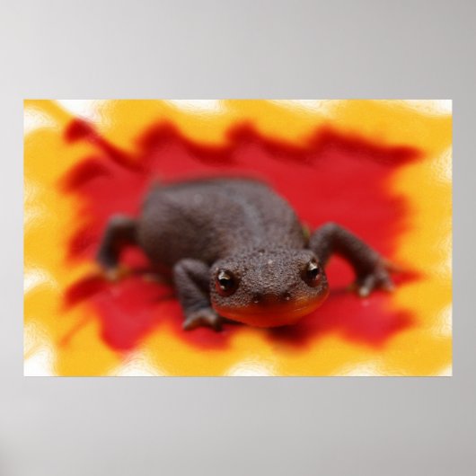 I Liebe Newts Fine Art Prints Poster (Vorne)