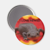I Liebe Newts Magnet (Vorderseite/Rückseite)