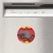 I Liebe Newts Magnet (In Situ (Geschirrspüler))
