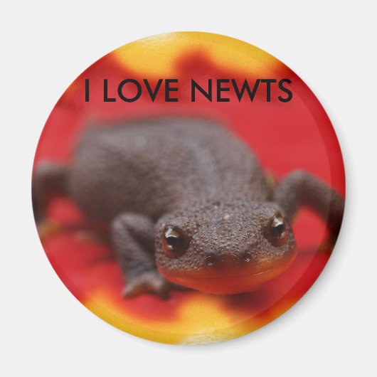 I Liebe Newts Magnet (Vorne)