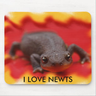 I Liebe Newts Mousepad