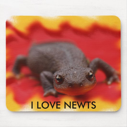 I Liebe Newts Mousepad (Vorne)
